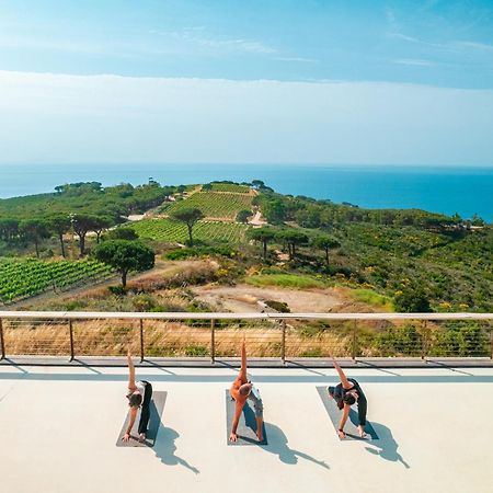 Tenuta Delle Ripalte كابوليفيري المظهر الخارجي الصورة