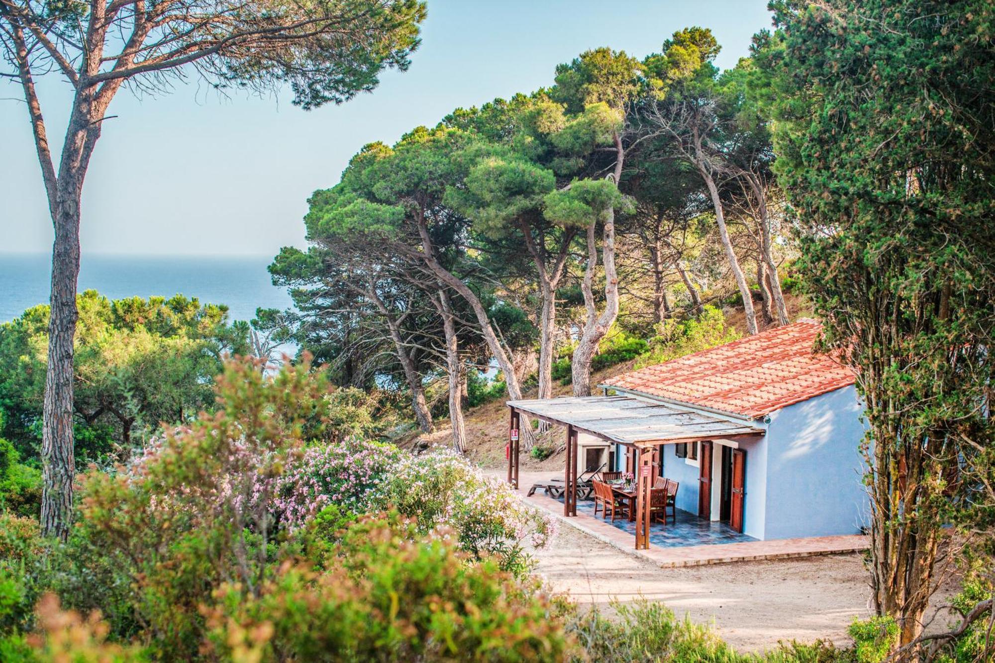 Tenuta Delle Ripalte كابوليفيري المظهر الخارجي الصورة