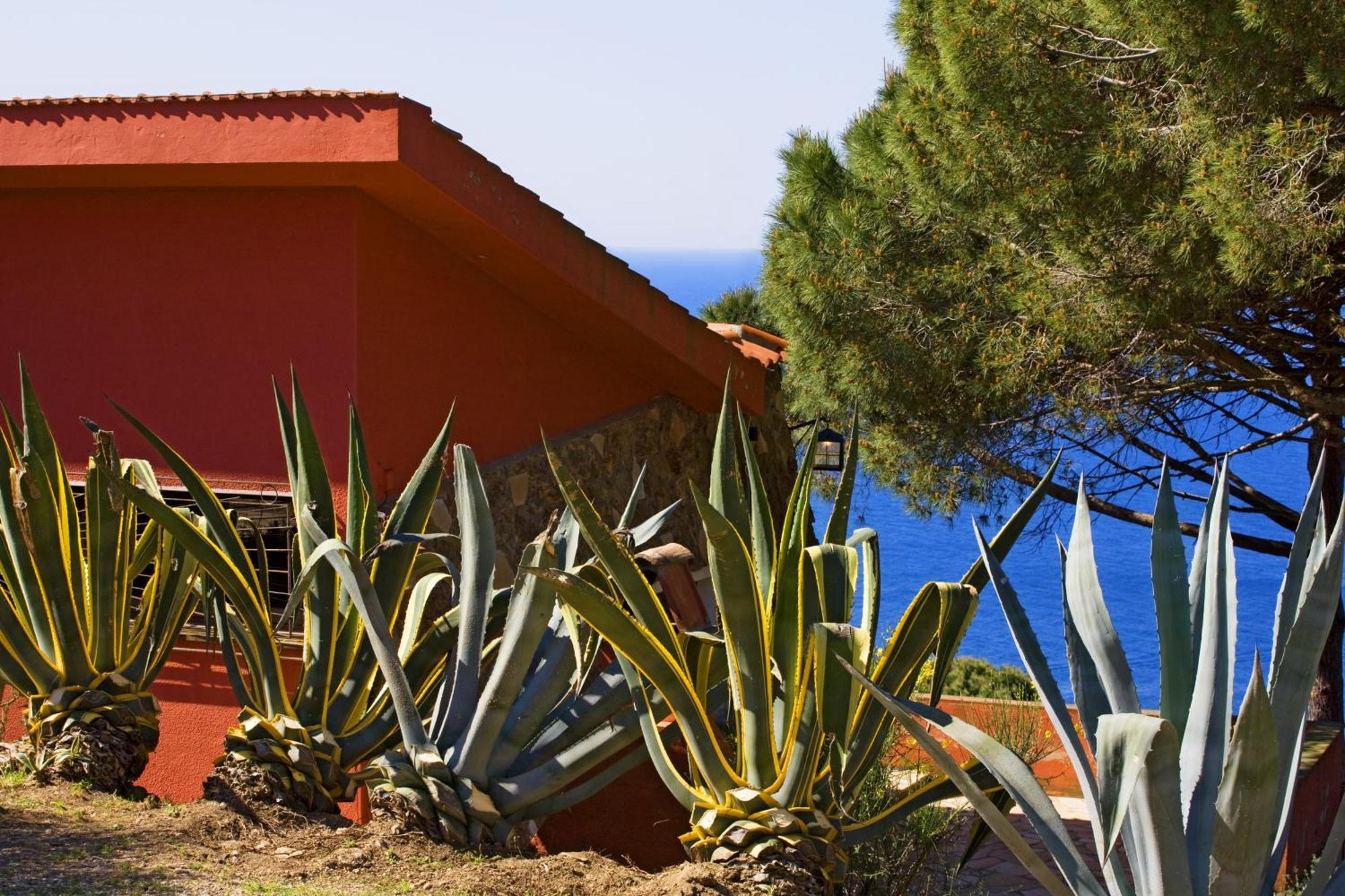 Tenuta Delle Ripalte كابوليفيري الغرفة الصورة