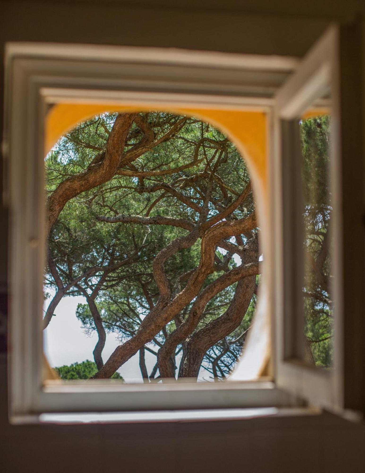 Tenuta Delle Ripalte كابوليفيري المظهر الخارجي الصورة
